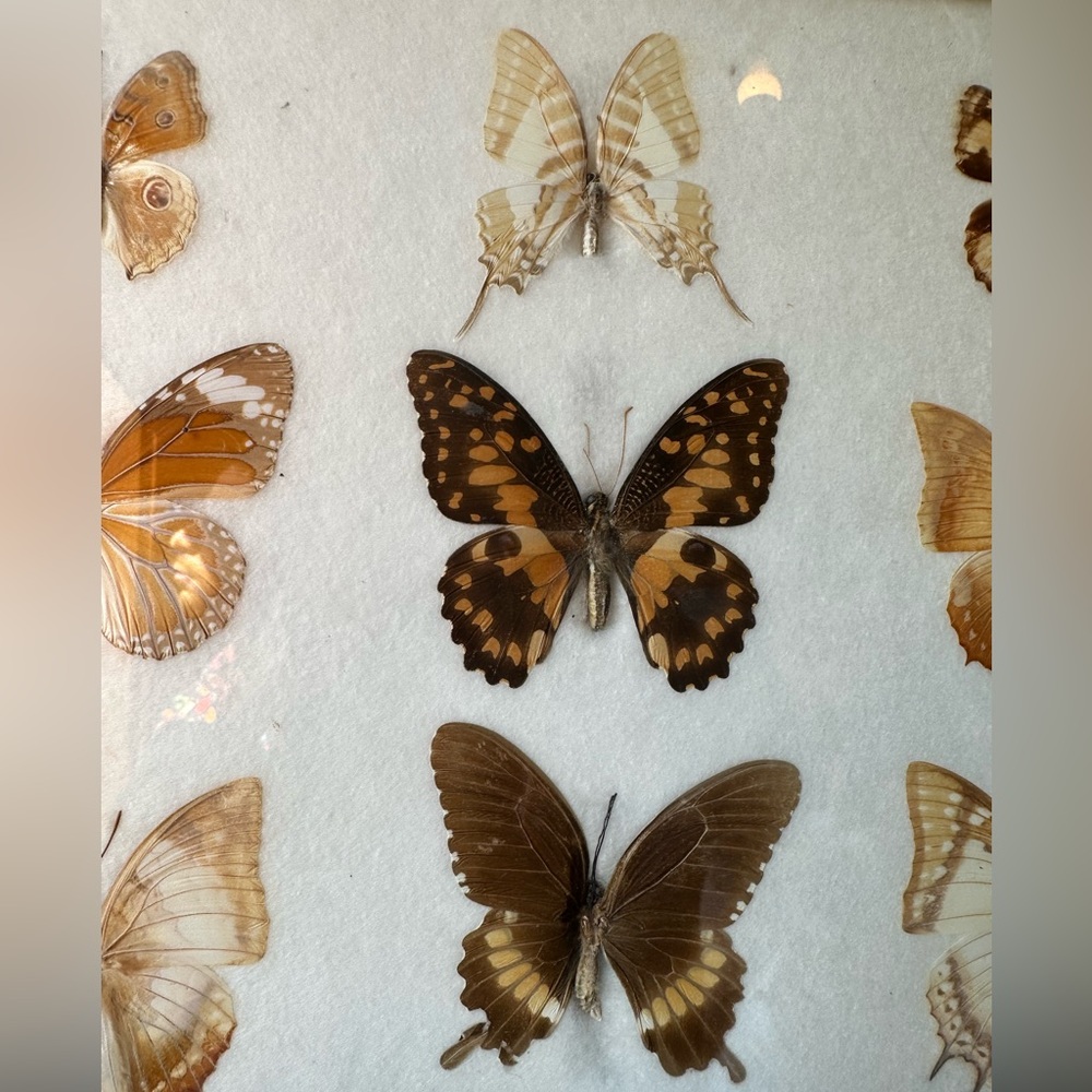 Thank you for stopping by 😊💐🌹